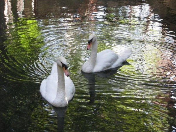 Massabki Hotel image 28